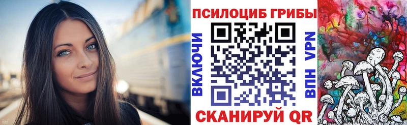 Купить  Новоржев  Галлюциногенные грибы Cubensis 