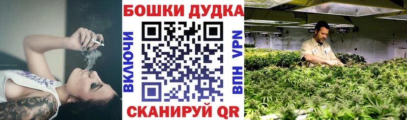 МАРИХУАНА Bruce Banner  Купить закладки  Новоржев 